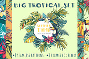 Big Tropical Set: patterns & frames, a Pattern Graphic by VasilkovS (Thumbnail 1 of 7)