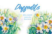 SALE! Watercolor daffodils flowers, a Decorative Illustration by MaryAmi (Thumbnail 1 of 3)