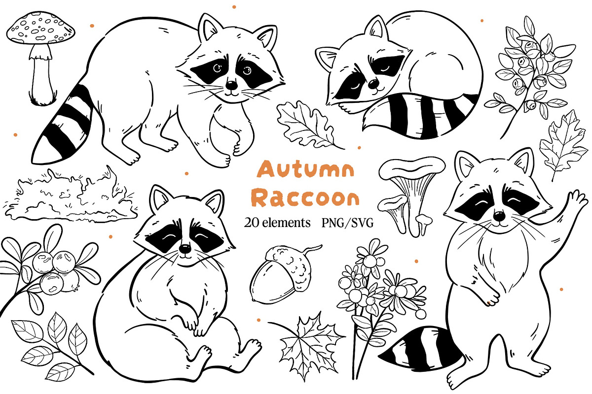 Hand-Drawn Raccoon Clipart PNG SVG, an Animal Illustration by ArtGiftsStudio (Photo 1 of 5)