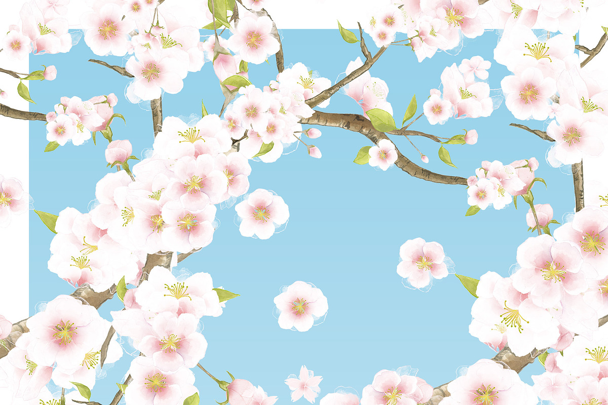 Sakura | Cherry Blossom Florals, an Illustration by January Bloom (Photo 9 of 11)