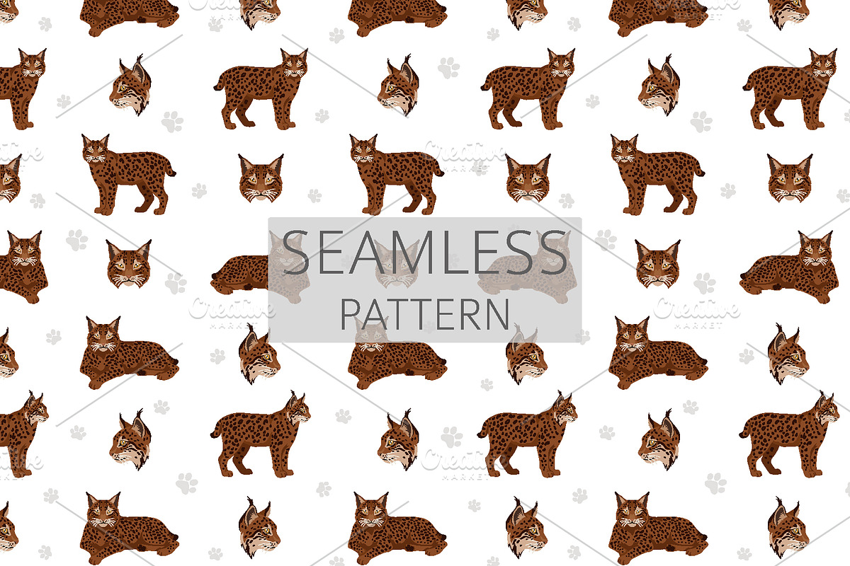 European wild cats clipart, an Animal Illustration by pet design shop (Photo 8 of 10)