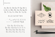 Antica. Aesthetic Logos Generator, a Branding & Logo Template by Cosmic Store (Thumbnail 15 of 16)