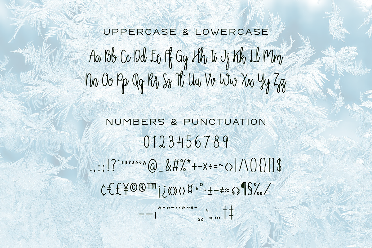 Streamline - Monoline Script Font, a Script Font by zohanimasi (Photo 3 of 6)