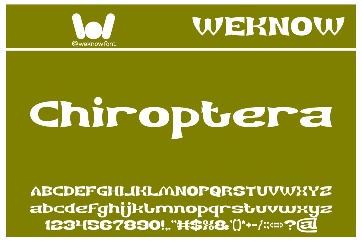 Archer font, a Font by weknow (Photo 3 of 5)