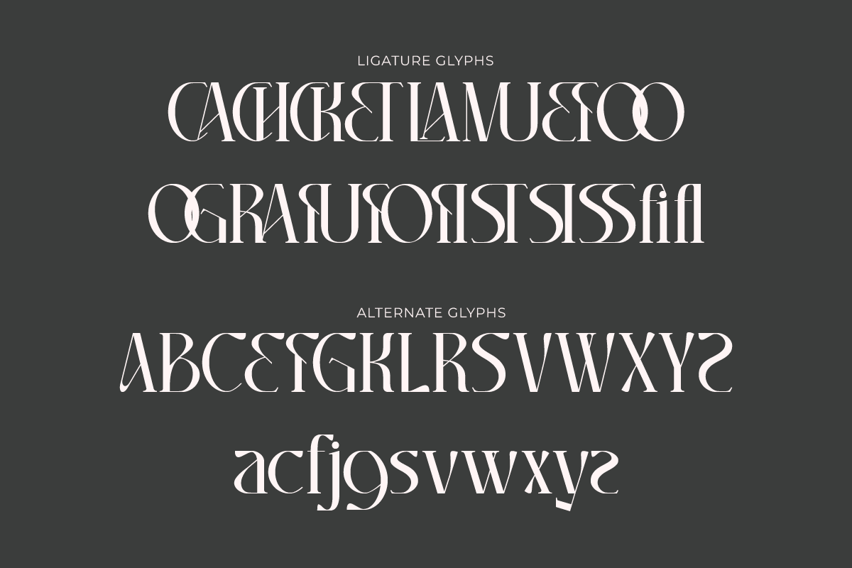 Chadenia, a Serif Font by Muksal Creative (Photo 9 of 9)