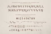 Circus of Letters – Fancy Typeface, a Sans Serif Font by RedyStudio (Thumbnail 23 of 24)