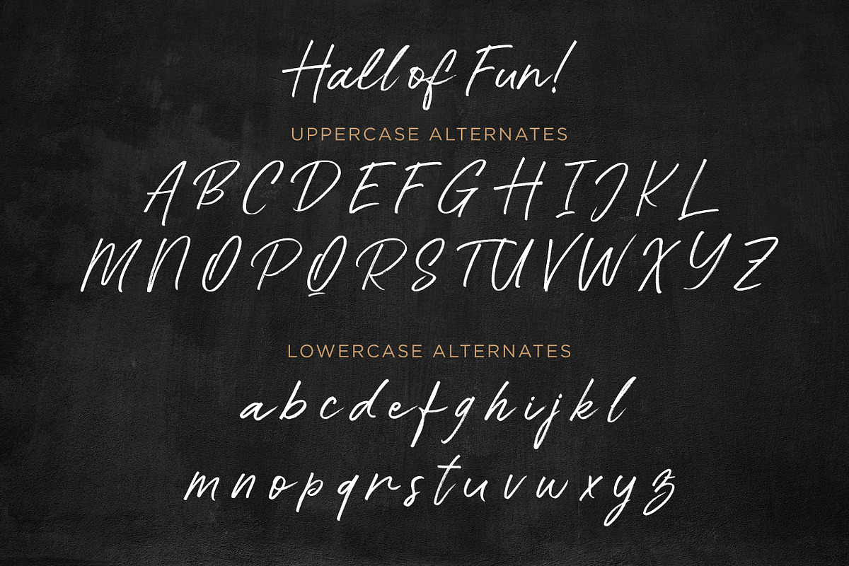 Hall Of Fun - Casual Elegant Font preview 8