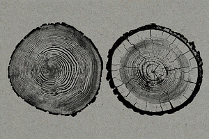 26 Large Tree Ring Textures