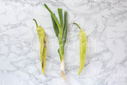 Holistic Lifestyle Bundle (Green), a Health & Medical Photo by Wellness Stock Market (Thumbnail 12 of 37)