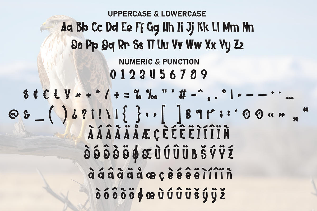 Eagle Highland | Script Font, a Script Font by Scratchones (Photo 7 of 9)