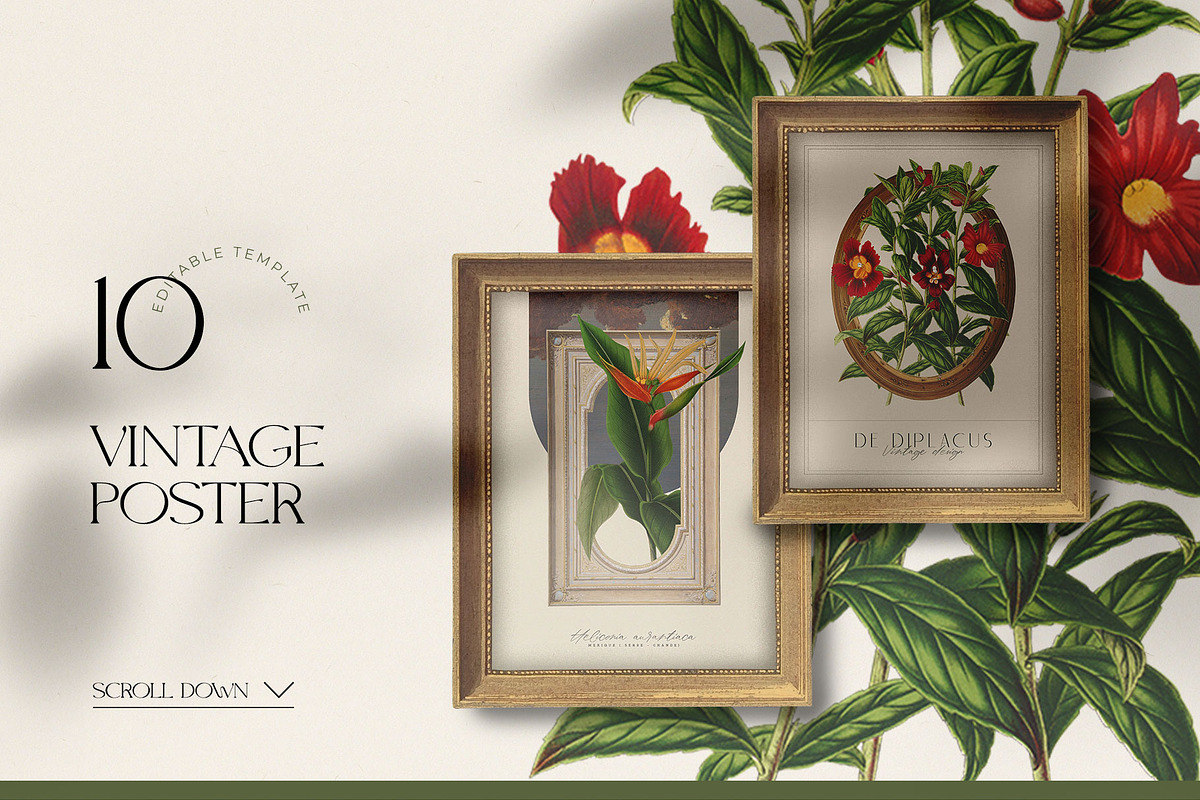 Vintage Botanica | Collage Creator, an Object Graphic by Leleka.Store (Photo 7 of 15)