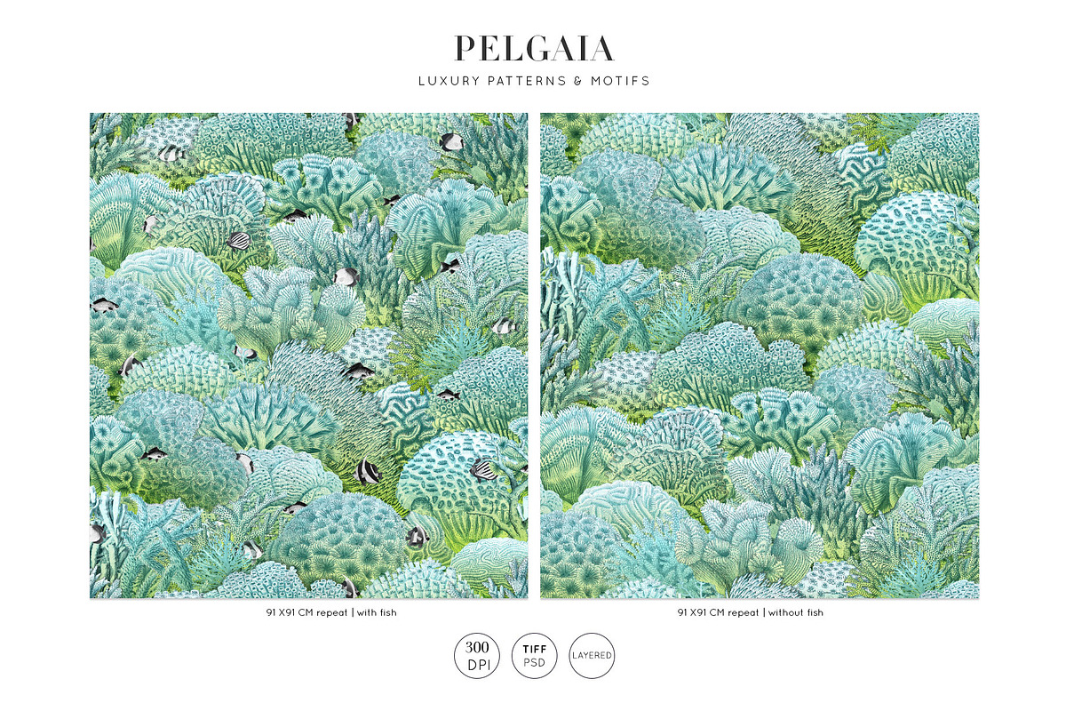 Pelagia, Luxury Coral reef Prints++, a Pattern Graphic by Pink Linen (Photo 3 of 15)