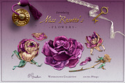 Purple Roses - Watercolour Clipart, a Decorative Illustration by Aquarellina (Thumbnail 1 of 14)