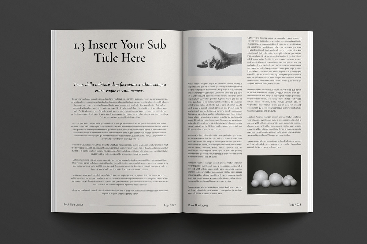 Book Title Layout Design Template, a Brochure Template by Cleffon_Graphic_Studio (Photo 6 of 8)