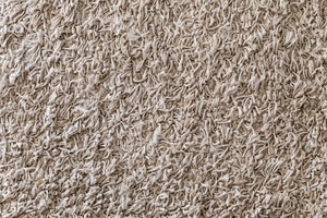 High pile carpet containing high pile, high carpet, and high pile carpet