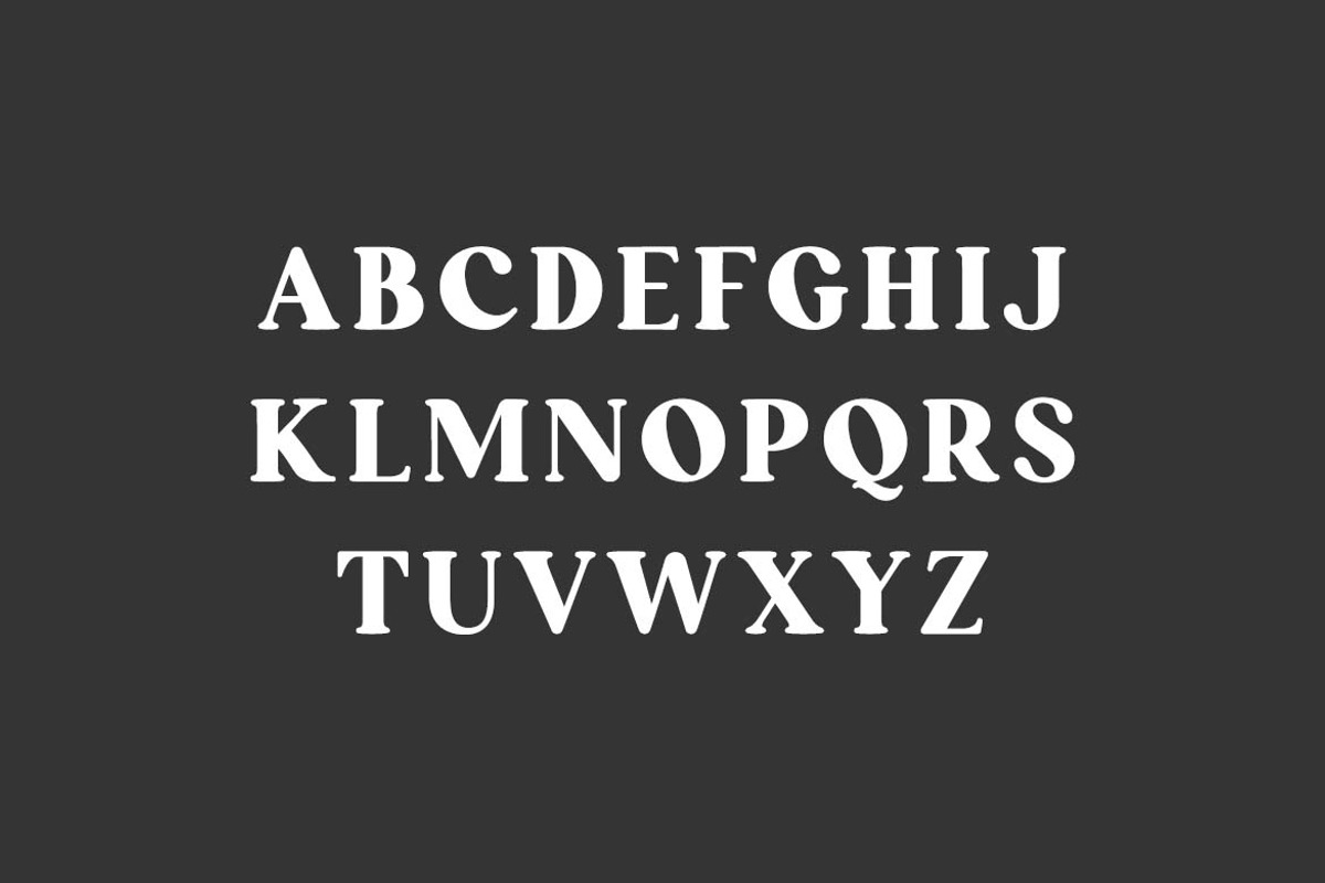 Lengthwise Beautiful Serif Font, a Serif Font by UICreative (Photo 4 of 13)
