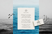 SEASCAPE Line, Seashells & Textures, an Object Graphic by Lana Elanor (Thumbnail 8 of 11)
