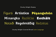 Chunky Delight, a Serif Font by Wildan Type (Thumbnail 2 of 10)