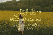 Hand Drawn Floral Whimsy Script Font, a Handwritten Font by Laras Wonderland (Thumbnail 10 of 16)