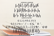 Diligence | Script Font, a Script Font by Scratchones (Thumbnail 7 of 8)