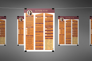 Professional Resume CV 3 Colors