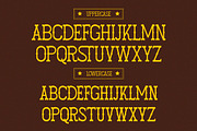 Fatient | Western Slab Retro, a Slab Serif Font by Denustudios (Thumbnail 9 of 12)