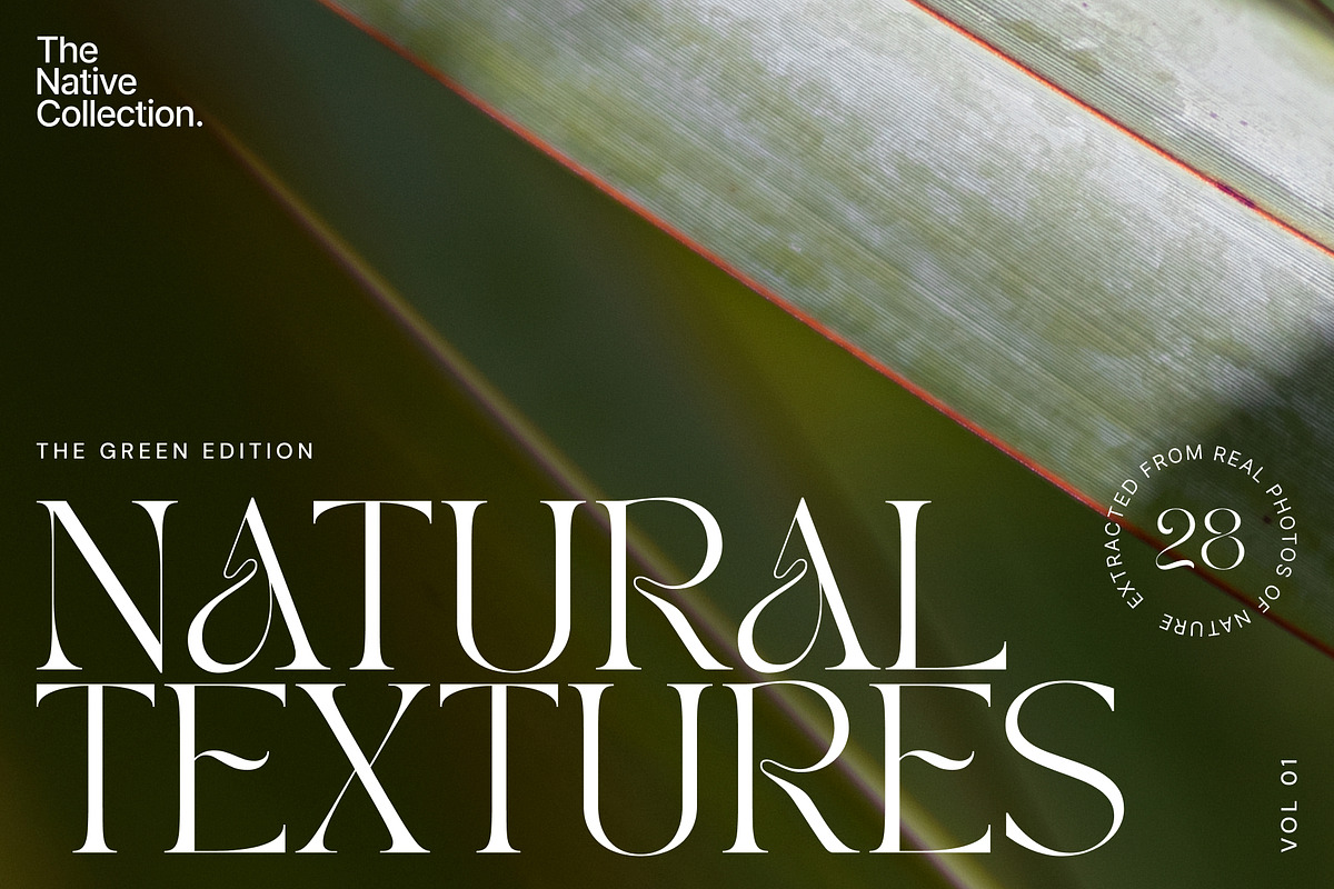 Natural textures - Green edition v01, a Texture Graphic by Haehae photography (Photo 1 of 6)