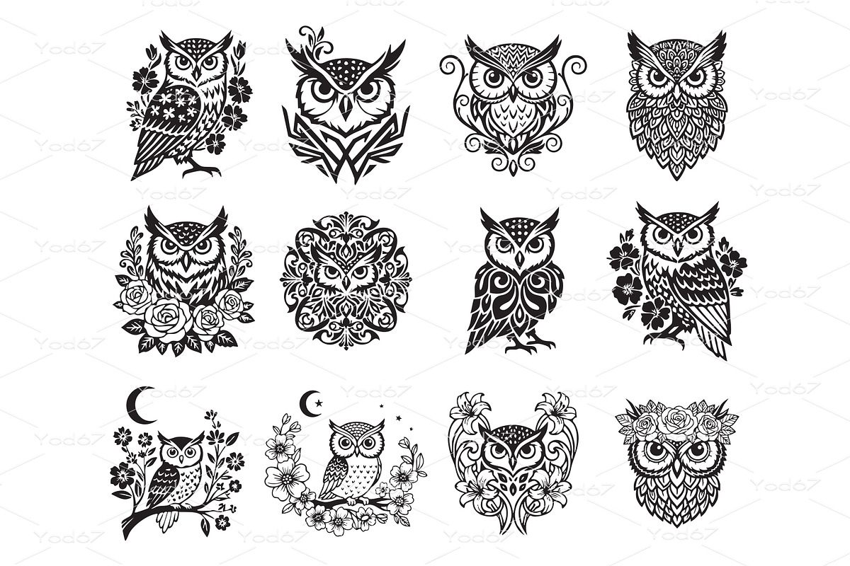 Vector set of owl designs, Birds, an Animal Illustration by yod67