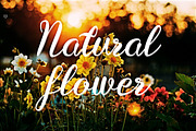 Anisa Font Script, a Script Font by Ahmad Pkp Studio (Thumbnail 4 of 9)