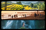 Advanced Film Overlays | 4K + 1080P, a Social Media Template by Wild State (Thumbnail 4 of 8)