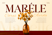 Hellian - Modern Lavish Luxury Font, a Serif Font by Sensatype (Thumbnail 8 of 13)