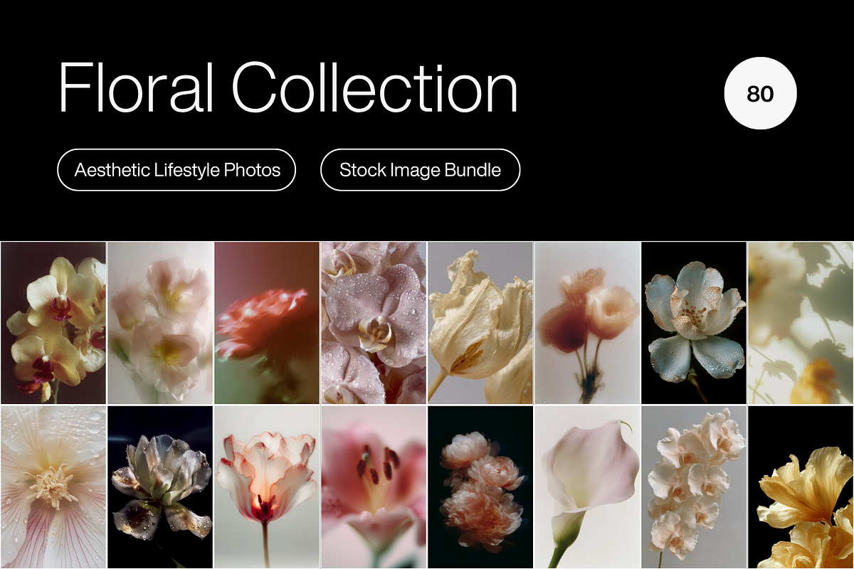 80 Floral Aesthetic Stock Images, a Background Photo by Digital Asset Co (Photo 1 of 9)