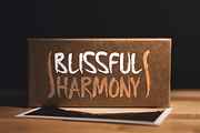 Softly Darkish Typeface, a Handwritten Font by Seemly Fonts (Thumbnail 4 of 5)