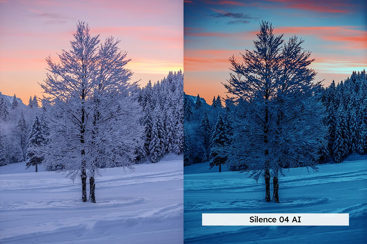 20 Winter Forest Lightroom Presets, a Preset Add-On by Hubzway (Photo 5 of 13)