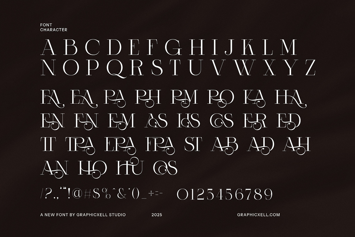 Fagora Calligraphy Serif Font, a Serif Font by Graphicxell (Photo 7 of 9)