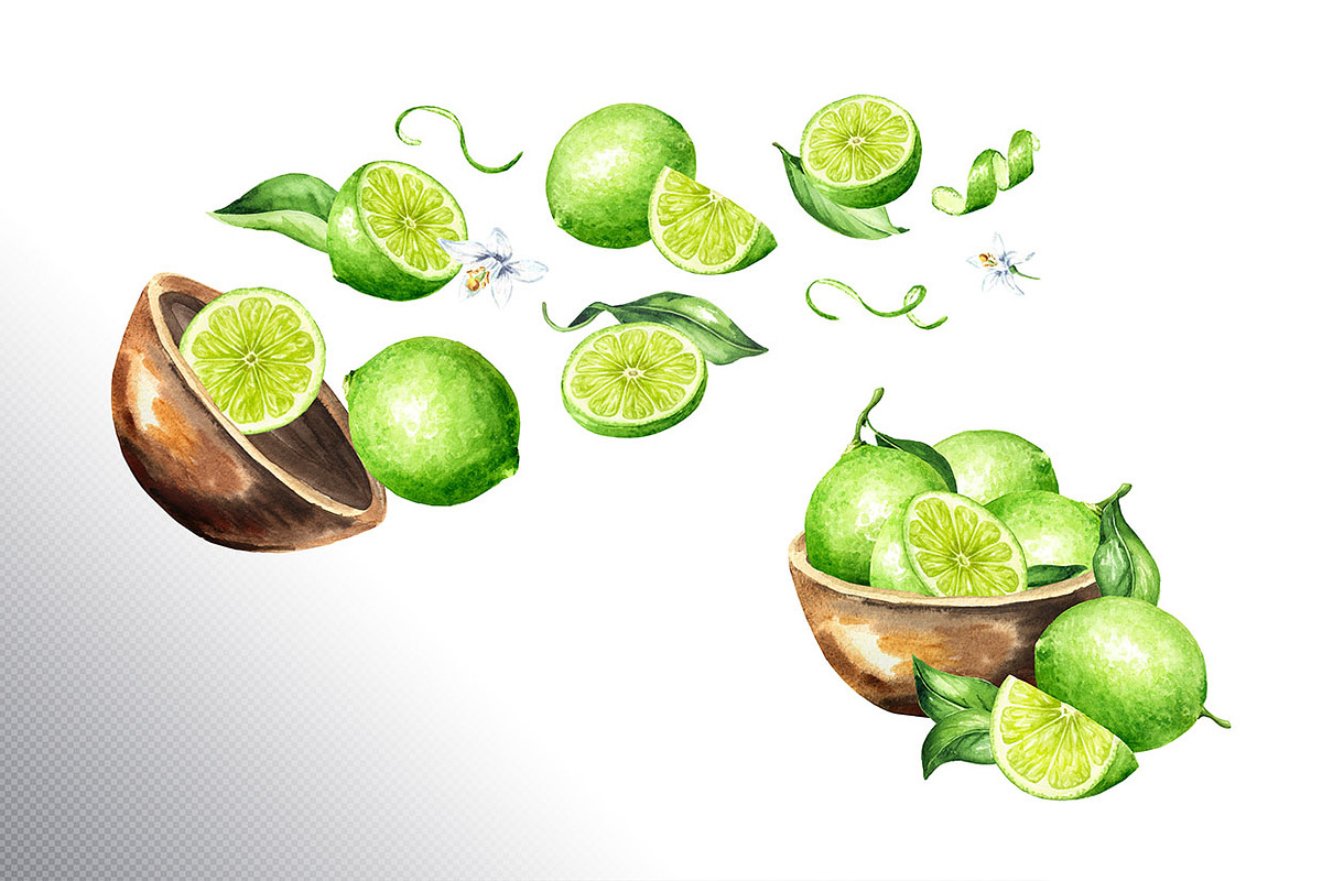 Lime citrus. Watercolor collection, a Food Illustration by Daria Ustiugova (Photo 13 of 21)