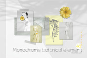 Botanical futurism illustration, an Object Graphic by Collection by VY (Thumbnail 11 of 13)
