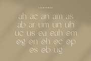 Noah - Elegant Ligature Font, a Serif Font by Sensatype (Thumbnail 7 of 19)