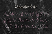 Agnes After Dark Curly Display Font, a Handwritten Font by The October Creative (Thumbnail 3 of 8)