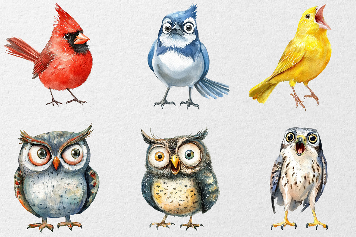 Funny Birds Collection Clipart, an Animal Illustration by DreamCafeArt (Photo 4 of 7)