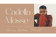 Bellagio Signature Font Duo, a Serif Font by Aqeel_Art (Thumbnail 4 of 10)
