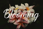 Yonella | Handwritten Solid Script, a Script Font by gracetype_studio (Thumbnail 2 of 14)