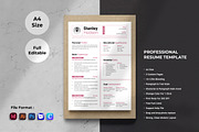 Resume Template, INDD, Canva, Docx, a Resume Template by Spark_Creative (Thumbnail 1 of 4)