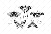 Halloween moths, a Decorative Illustration by OlgaSoi007 (Thumbnail 4 of 7)