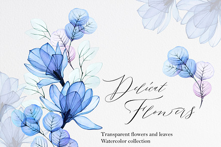Delicat flowers. Watercolor set