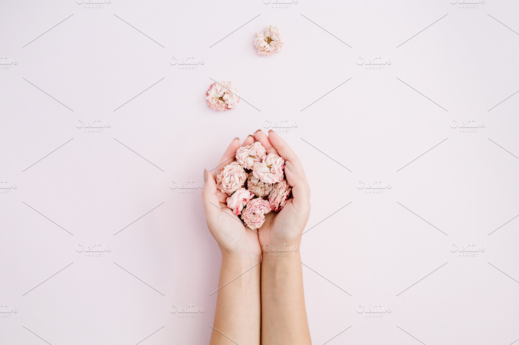Dried roses in girl's hands, an Arts & Entertainment Photo by Floral Deco