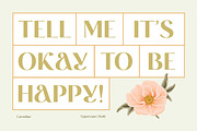 CARNELIAN - Display Variable Type, a Sans Serif Font by Artflorara (Thumbnail 10 of 16)