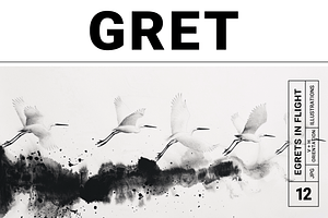 Gret Collection · Egrets in Flight, an Animal Illustration by milatovar