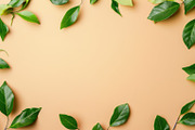 99 Frames of green leaves, a Nature Photo by Handmadefont (Thumbnail 7 of 100)
