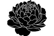 Peony Flower Silhouette, an Object Graphic by Designer_Momina (Thumbnail 5 of 18)